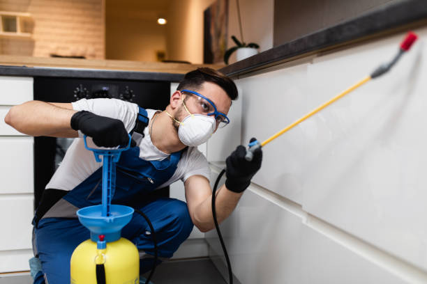 Professional Pest Control in Valley Stream, NY