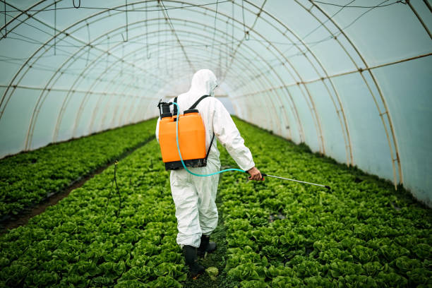 Best Residential Pest Control  in Valley Stream, NY