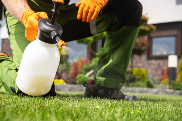Best Mosquito Control Services  in Valley Stream, NY