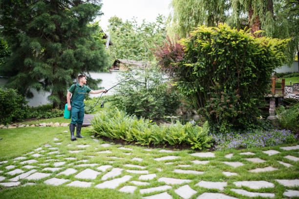 Wasp Removal Services in Valley Stream, NY