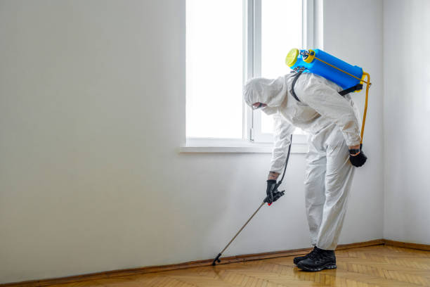 Best Commercial Pest Control Services  in Valley Stream, NY