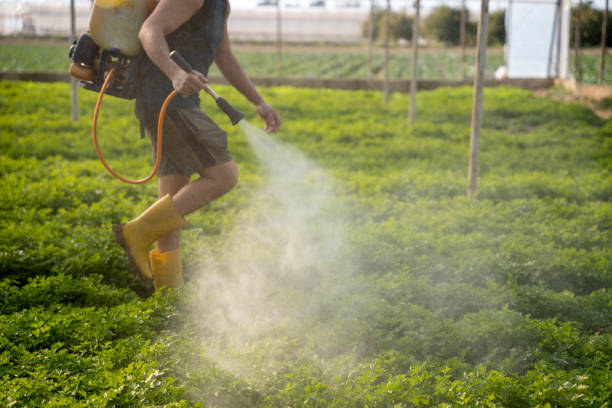 Pest Control for Restaurants in Valley Stream, NY