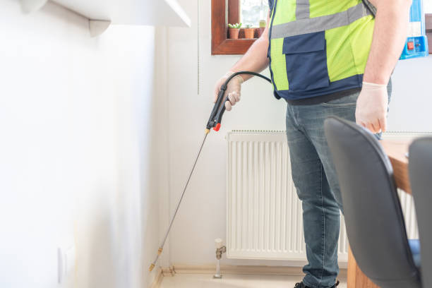 Best Flea Control Services  in Valley Stream, NY