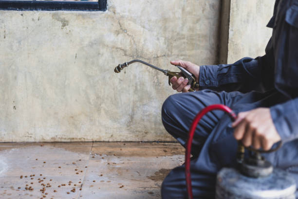 Best Termite Control Services  in Valley Stream, NY